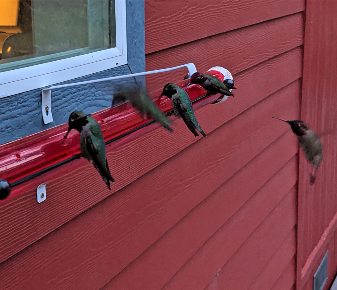 mounted at the windowsill